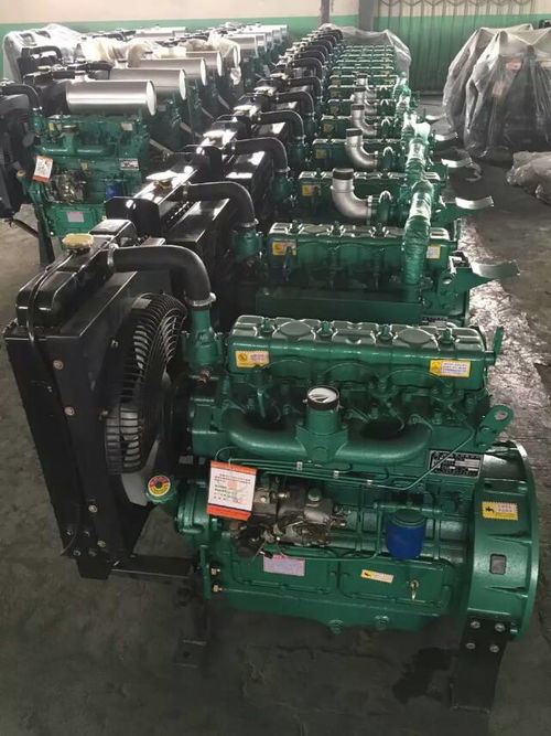 阿瓦提潍柴6160船用柴油机高压油泵总成 龙口泵船机配件